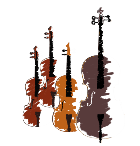 bass viola cello violin